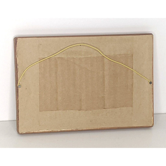 Feather Painting Parrot McCaw Costa Rica Framed Matted Glass 5x7" - Picture 3 of 3